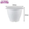 ANEKA High Quality Plastic White Round Flower Pot Pasu Bunga 12inch to 21inch