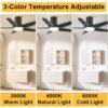 【Designer's First Choice】REGAIR MT36" 46" 56" DC Motor Ceiling Fan With Light 5B-16S-8889CFM