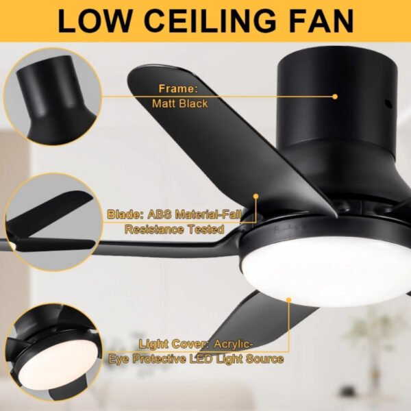 【Designer's First Choice】REGAIR MT36" 46" 56" DC Motor Ceiling Fan With Light 5B-16S-8889CFM