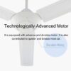 69f82c52deacd_1777871955.jpg Panasonic Ceiling Fan 5-Speed Regulator F-M15A0