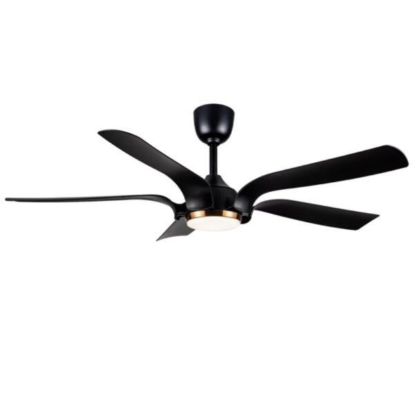 REGAIR VIDA56 DC ceiling fan with light 5Blade 16Speed Remote control 5 years warranty