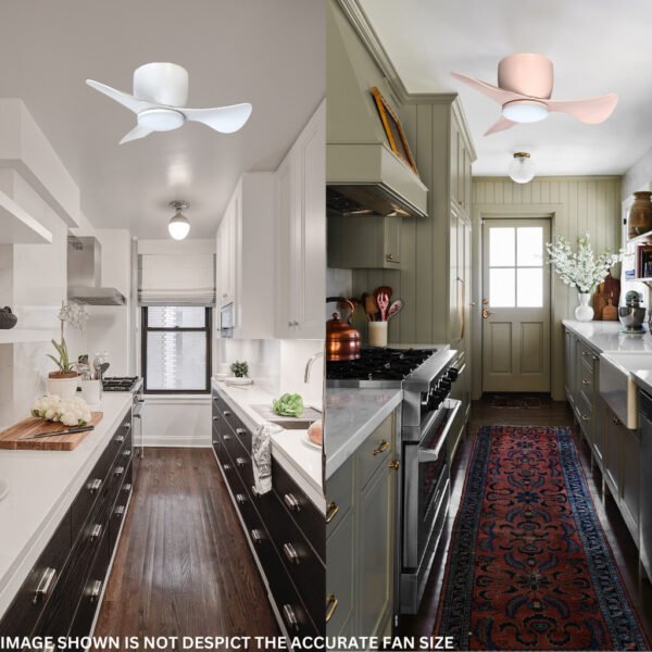 69f82c79ae3ab_1777871993.jpg NSB Cupid 22-Inch Ceiling Fan with LED Light Kit and WiFi Control, 3-Blade DC Motor 6-Speed Remote
