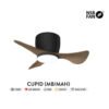 69f82c7a6a554_1777871994.jpg NSB Cupid 22-Inch Ceiling Fan with LED Light Kit and WiFi Control, 3-Blade DC Motor 6-Speed Remote