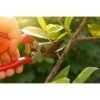 69f82c7bcb809_1777871995.jpg Heavy Duty Garden Pruning Shears with Spring / Garden Cutter / Pemotong Pokok / Gunting Pokok BPSS-486